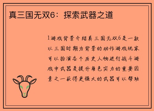 真三国无双6：探索武器之道